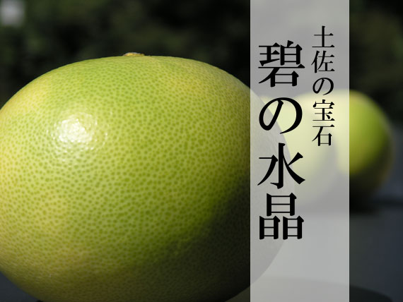 碧の水晶文旦 イメージ
