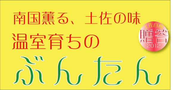 土佐の春味「ぶんたん」