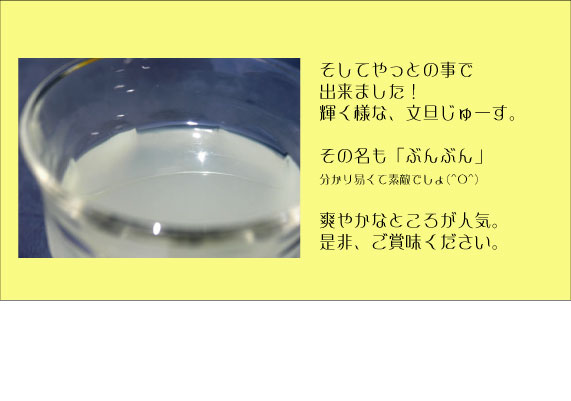 文旦ジュースイメージ