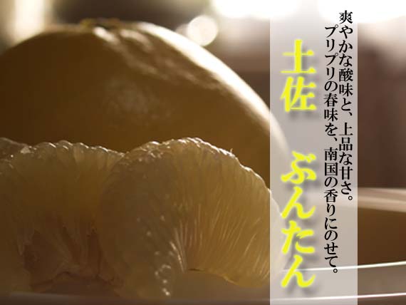 �ں�ʸö�Υڡ�����