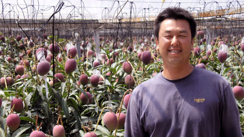 土佐マンゴー生産者 山本さん