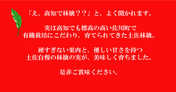 土佐林檎について