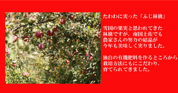 畑の林檎