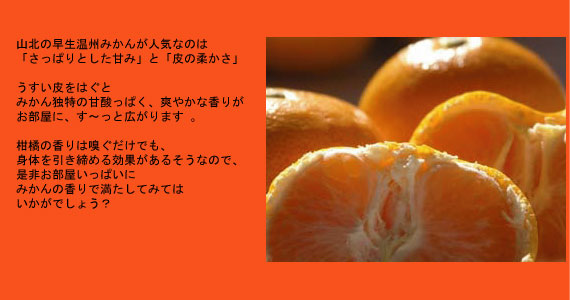 �ߤ���Τ��餫��