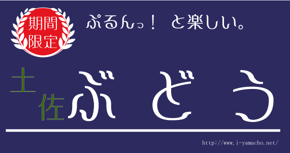 ぷるんっと美味しい土佐葡萄