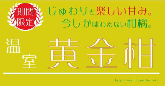 黄金柑（おうごんかん）　～たのしい甘さ～