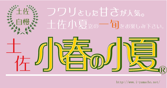 小春の小夏　～ふわりと甘い～