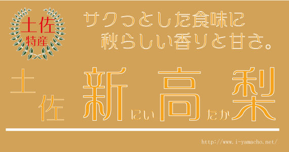 サクリと美味しい土佐の新高