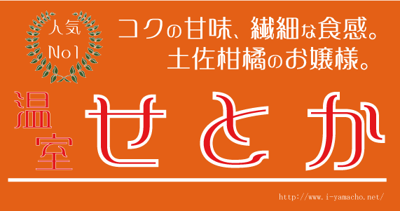 土佐　温室せとか　～ずっしり甘い～