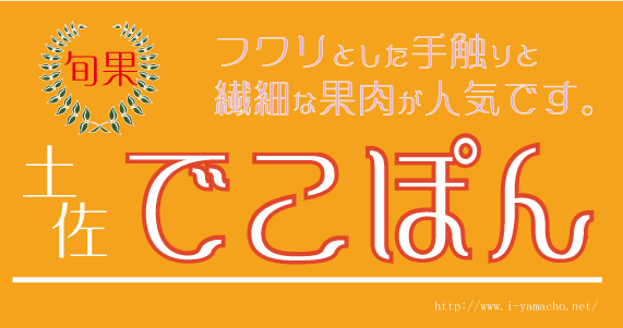 土佐でこぽん　～フワリとおいしい～　