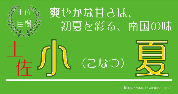 土佐小夏　～爽やかなおいしさ～