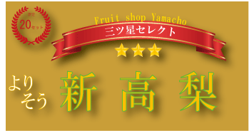 ジュワリと美味しい新高梨