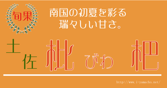 高知産のおいしい枇杷