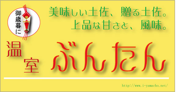 御歳暮に美味しい土佐文旦