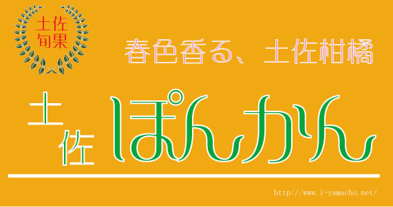 ２月に美味しい土佐ぽんかん