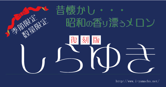 しらゆき姫を思わせる、土佐メロン。